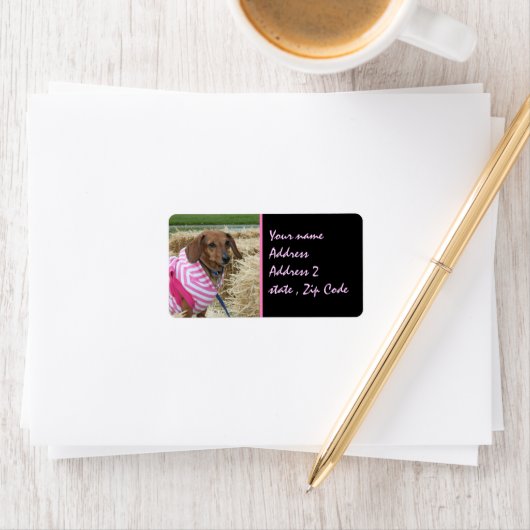 ダシュント ラベル (インサイチュ)