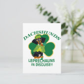 ダシュント・レプレシャン ポストカード (スタンド正面)