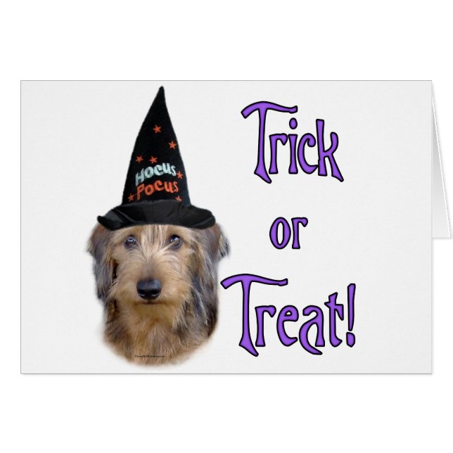 ダシュント（ワイヤー）トリック (正面横)