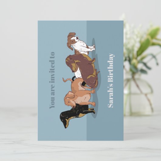 ダシュント 招待状 (スタンド正面)