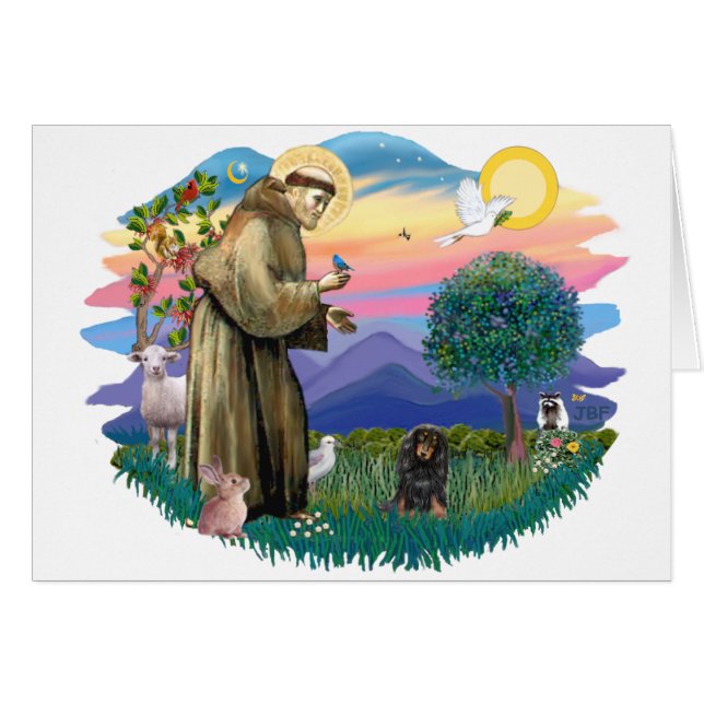 ダシュント（長毛黒褐色） (正面横)