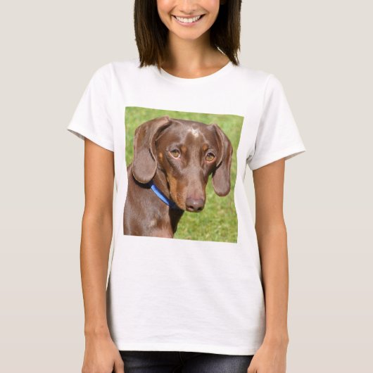 ダシュント Tシャツ (正面)