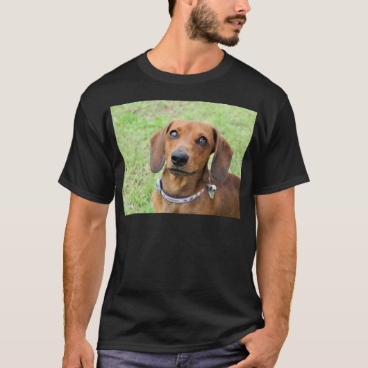 ダシュント Tシャツ (正面)