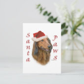 ダシュントPaws - Longhair ポストカード (スタンド正面)