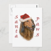 ダシュントPaws - Longhair ポストカード (正面/裏面)