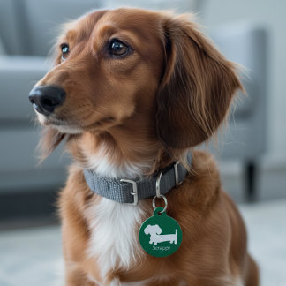 ダシュンドウィーナードッグアーミーグリーンIDドッグラベル ペット　ネームタグ