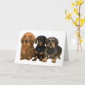 ダシュンドカード カード (黄色い花)