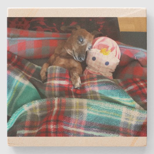 ダシュンドストーンコースター ストーンコースター (正面)