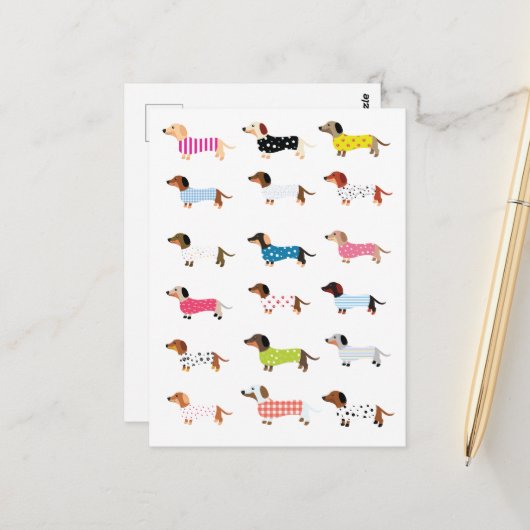 ダシュンドドッグウォーター色 ポストカード (正面/裏面インサイチュ)