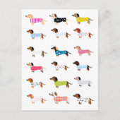 ダシュンドドッグウォーター色 ポストカード (正面)