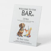 ダシュンドバー 台座サイン (正面)