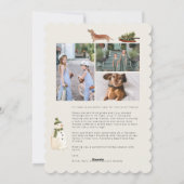 ダシュンドフラットホリデーカード シーズンカード (裏面)