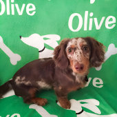 ダシュンドブランケットパーソナライズされたウィーナードッグギフト フリースブランケット