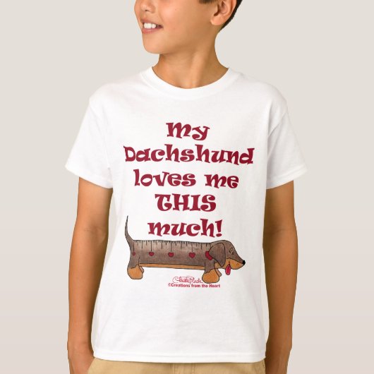 ダシュンドラブメーター Tシャツ (正面)