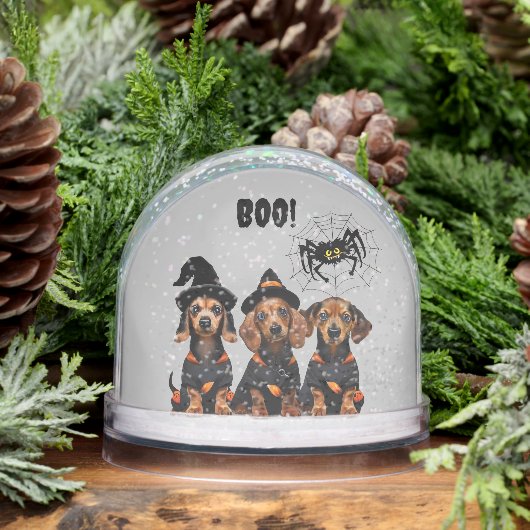 ダシュンハロウィーンスノーグローブ (冬)