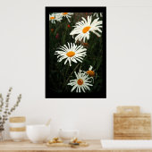 ダシー日 ポスター (キッチン)