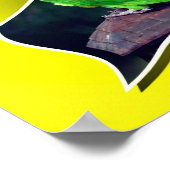 ダスキーの頭のオウムが限界を超えている ポスター (角)