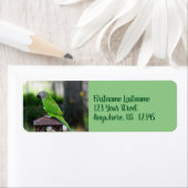 ダスキーの頭髪のオウムのアドレス ラベル (インサイチュ)