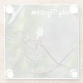 ダスキーフライキャッチャー ガラスコースター (裏面)