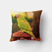 ダスキーヘディングコンウアオウム抽象芸術 クッション (裏面)