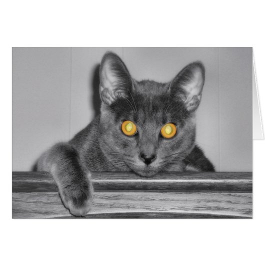 ダスキー金ゴールドカード (正面横)