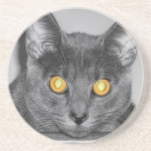 ダスキー金ゴールドコースター コースター (正面)