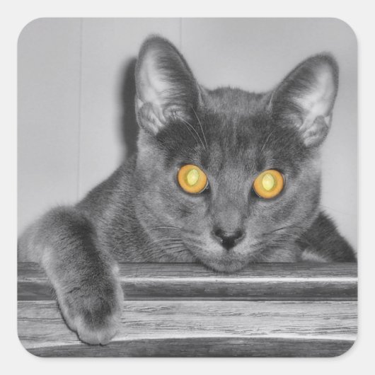 ダスキー金ゴールドシール スクエアシール (正面)