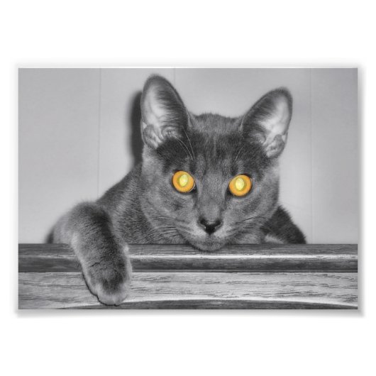 ダスキー金ゴールドフォトプリント フォトプリント            (正面)