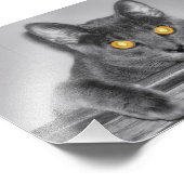 ダスキー金ゴールドフォトプリント フォトプリント            (角)