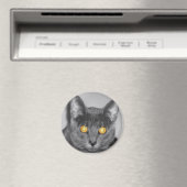ダスキー金ゴールド磁石 マグネット (インサイチュ (食洗機))