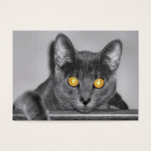 ダスクな金ゴールドブックマーク