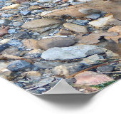 ダスクのポスターに飾られたカッパーヘッドスネーク ポスター (角)