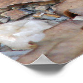 ダスクポスターのCopperhead Snakeプロフィール ポスター (角)