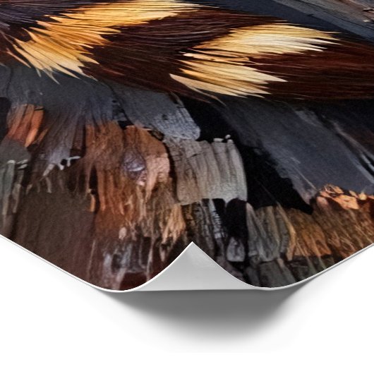 ダスク絵を描:ロッキーパーチのアライグマ ポスター (角)