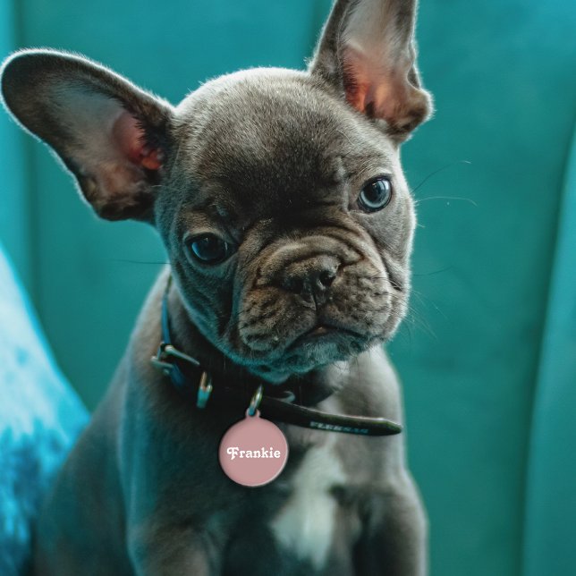 ダスティマウヴレトロ ペット　ネームタグ (クリエイターアップロード済み)