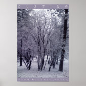 ダスティング ポスター (正面)