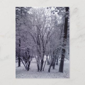 ダスティング ポストカード