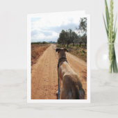 ダスティー通りの犬 カード (正面)