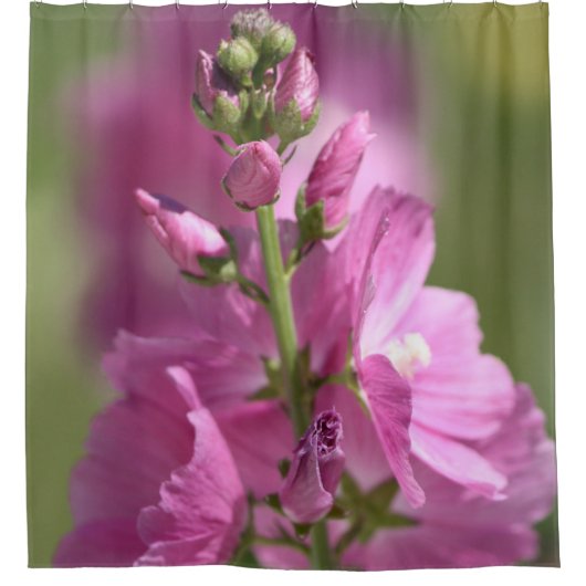 ダスティ・マウヴ シャワーカーテン (正面)