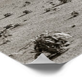 ダストボウルファーム， 1938.ヴィンテージ写真 ポスター (角)