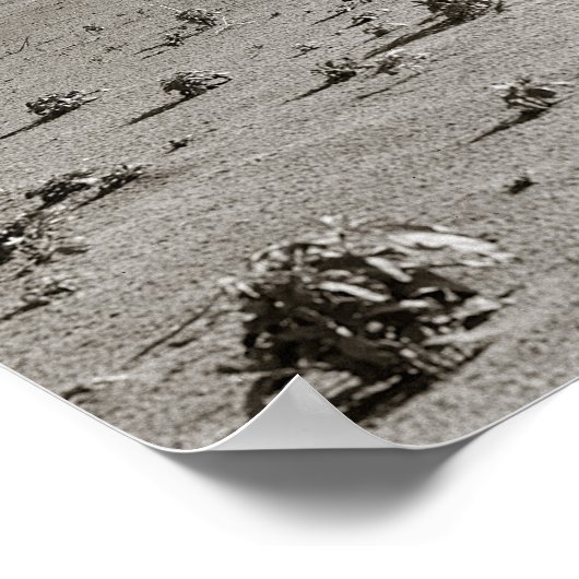 ダストボウルファーム, 1938.ヴィンテージ写真 ポスター (角)