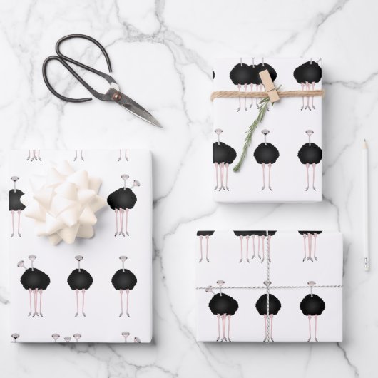 ダストラッピング紙シート ラッピングペーパーシート (正面)