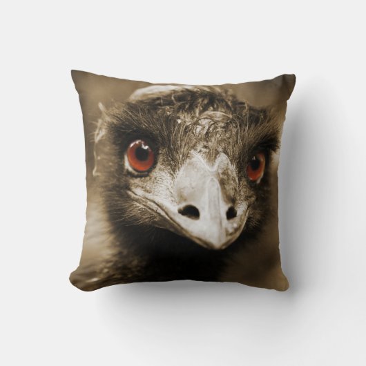 ダストリッシュルック装飾用クッション クッション (正面)