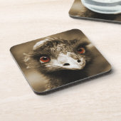 ダストルックコースター コースター (左側)