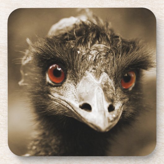 ダストルックコースター コースター (正面)