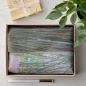 ダスプレトサール – 恐竜ティッシュペーパー 薄葉紙 (ギフト)