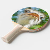 ダチョウおもしろいの動物写真 卓球ラケット (正面アングル)