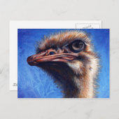 ダチョウのポストカード ポストカード (正面/裏面)