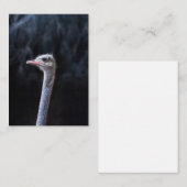 ダチョウの写真 ノートカード (正面/裏面)