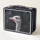 ダチョウの写真 メタルランチボックス (裏面)